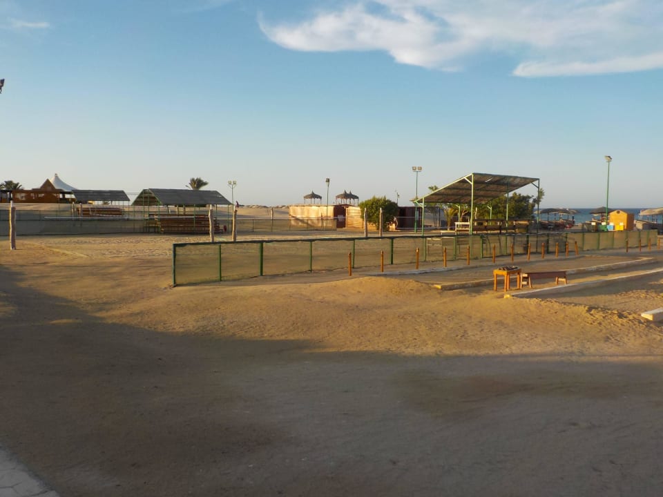 Volleyball Hotel Gorgonia Beach Resort