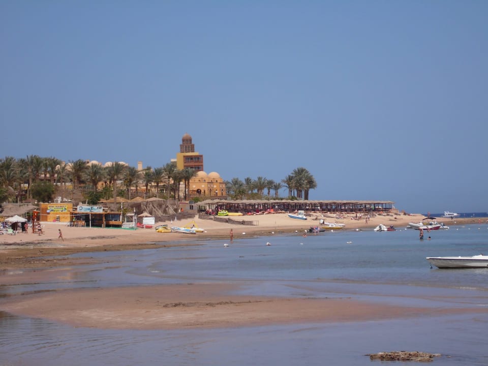 Bei Ebbe ..tolle Motive Korallen Fort Arabesque Resort, Spa & Villas