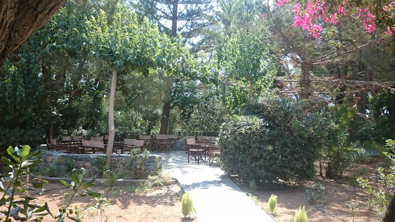 Gartenanlage Apollonia Beach Resort & Spa