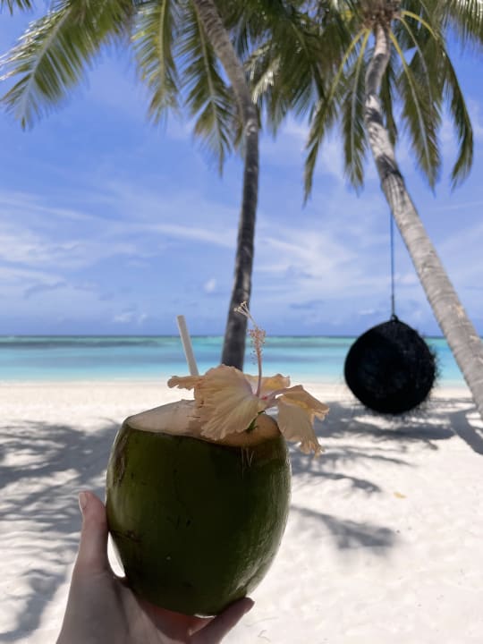 Strand Meeru Maldives Resort Island