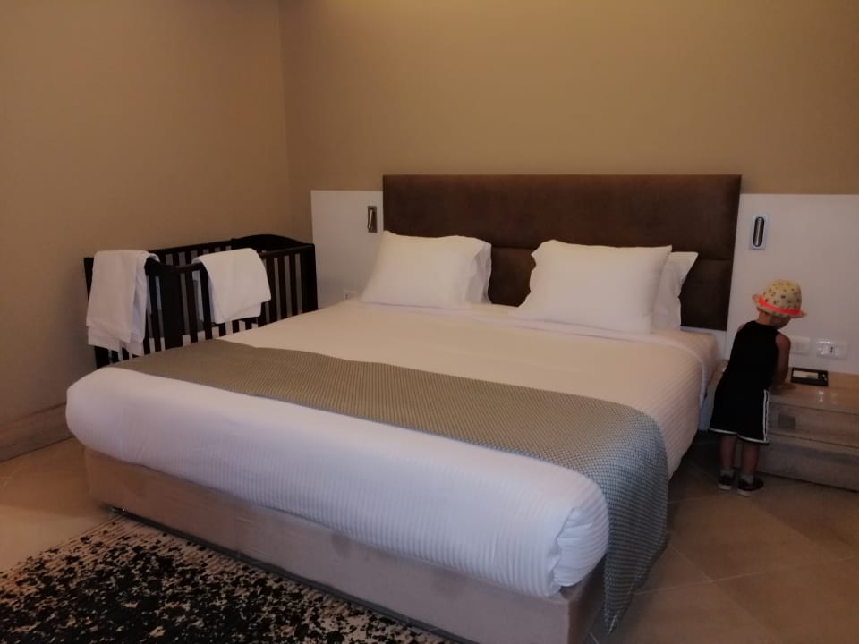 Zimmer Titanic Royal