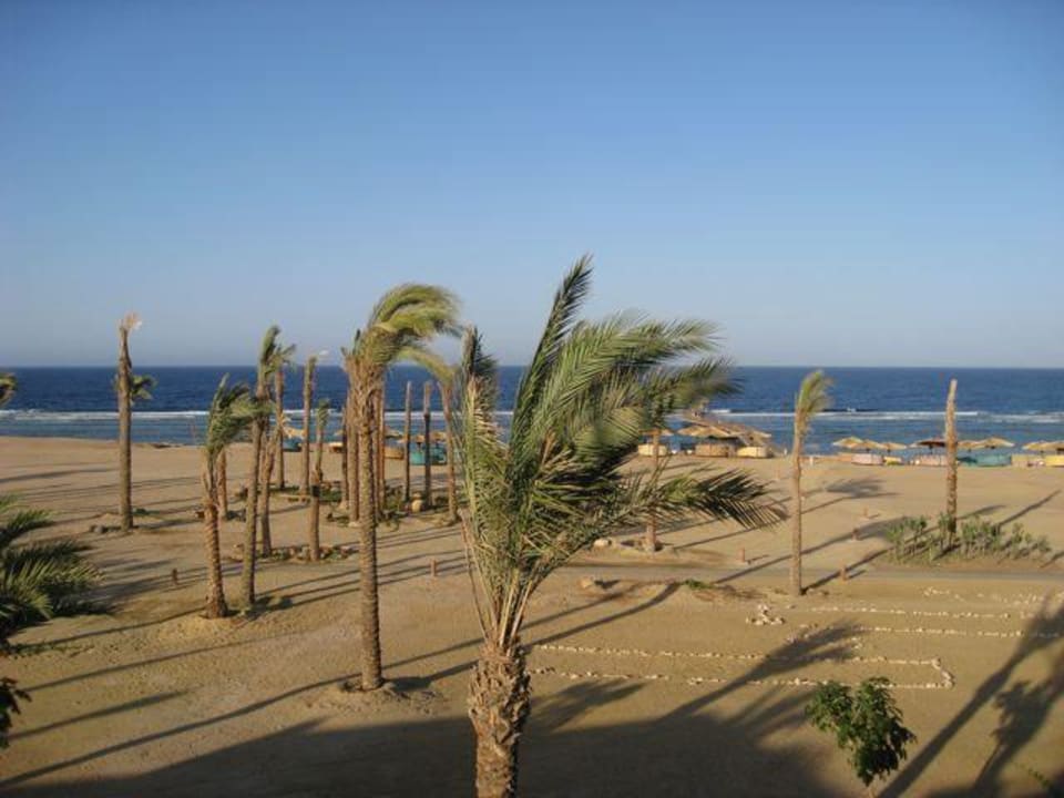 Ausblick Pickalbatros Sands Hotel - Port Ghalib