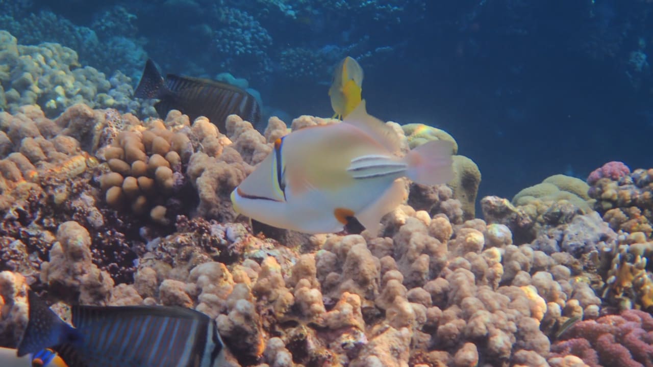 Strand Casa Mare Resort