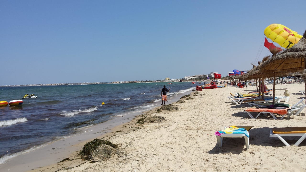 Seegras am Strand Hotel Neptunia Skanes