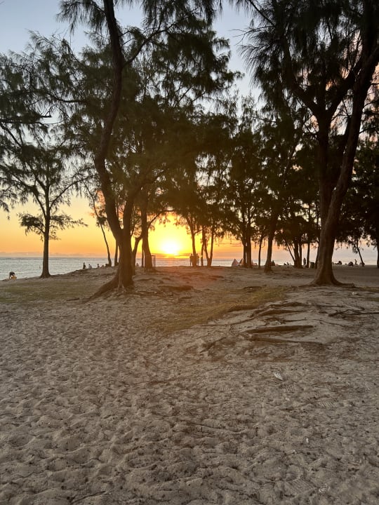 Strand Hotel Riu Turquoise