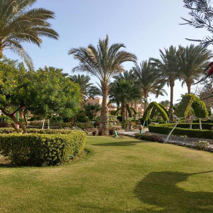 Gartenanlage Sentido Akassia Beach