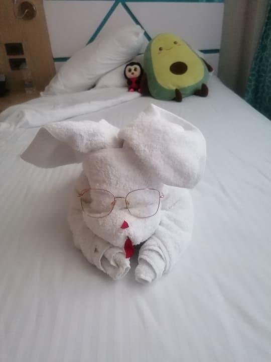 Zimmer Gravity Hotel & Aquapark Sahl Hasheesh