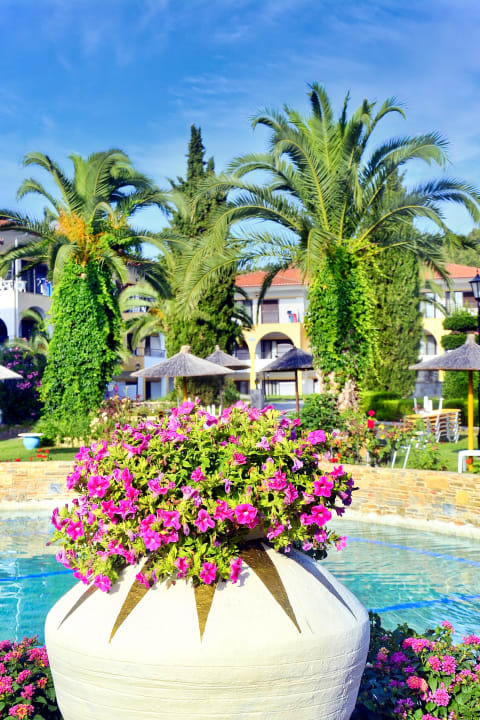 Sonstiges Hotel Chrousso Village