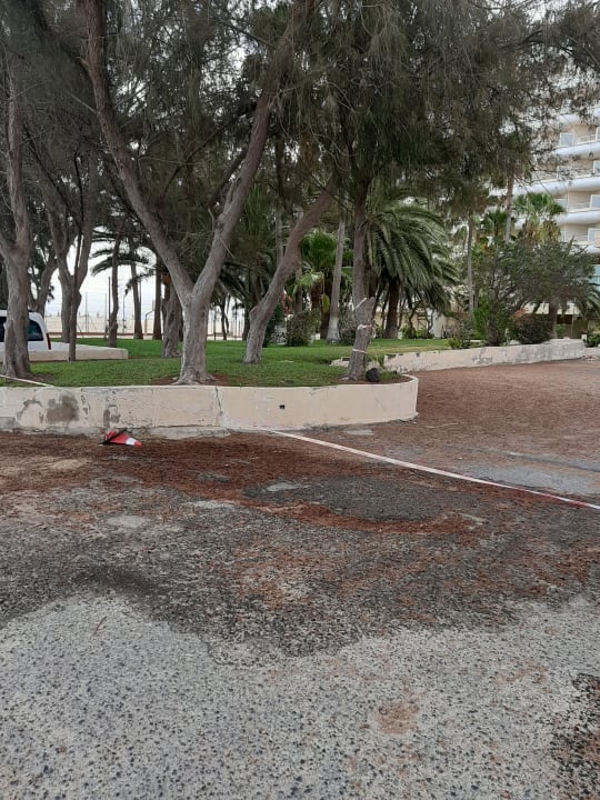 Gartenanlage Hotel Riu Oliva Beach - Hotel