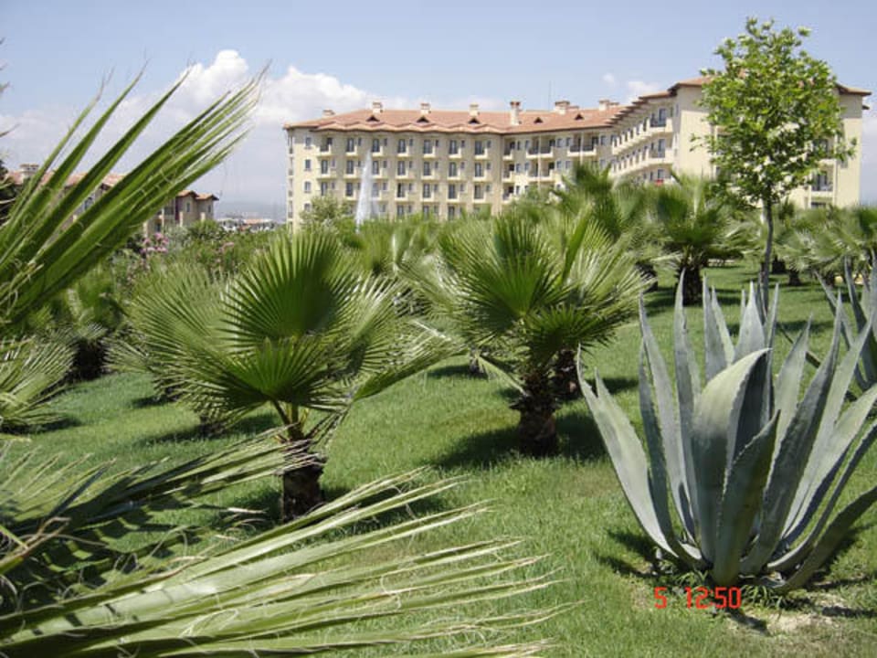 Katalogbild Miramare Queen Hotel