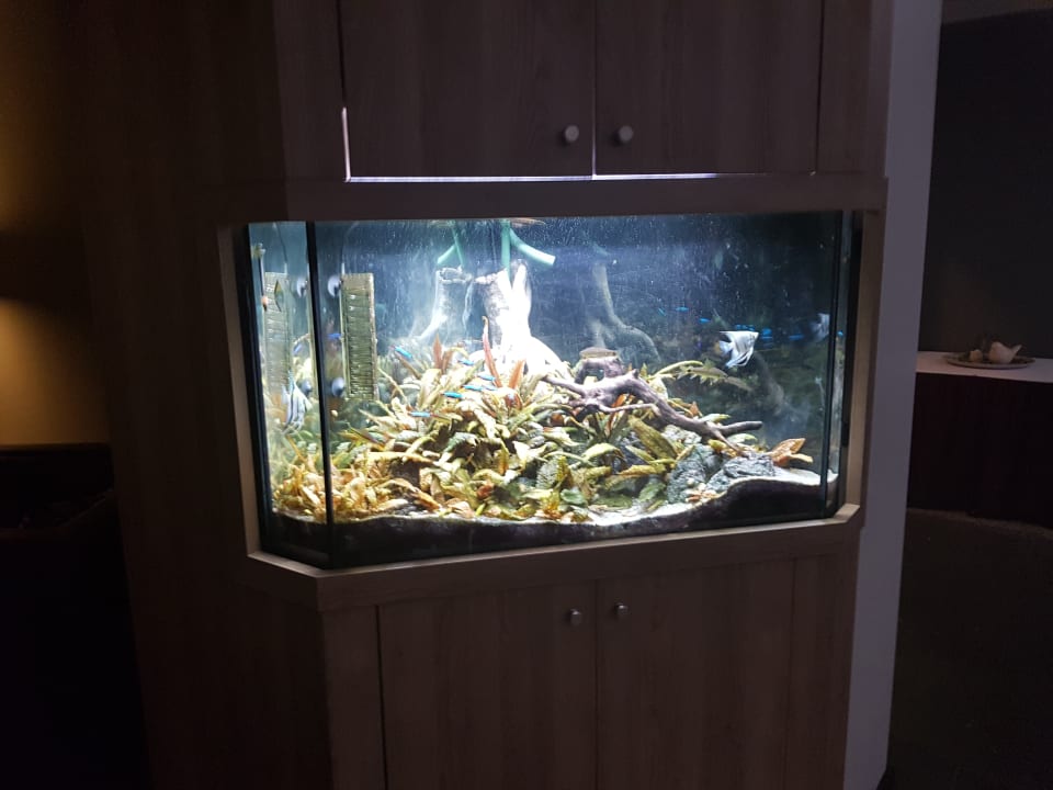 Lobby Top Hotel Esplanade