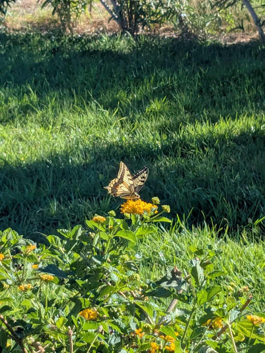 Ausblick Gennadi Grand Resort