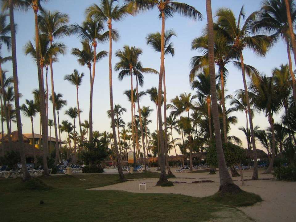 Sonnenaufgang Royalton Splash Punta Cana
