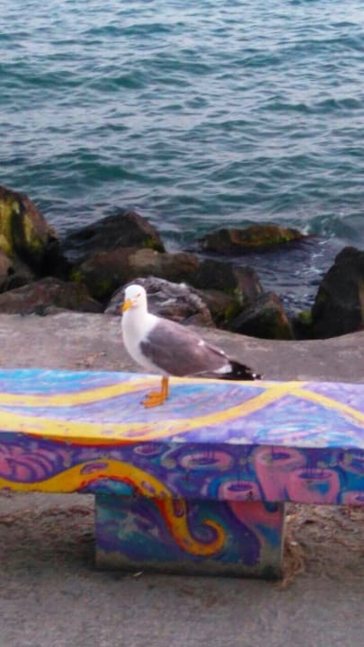 Sonstiges Grand Hotel Pomorie