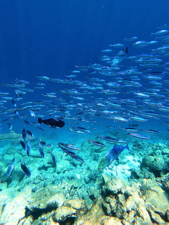 Strand NH Maldives Kuda Rah Resort