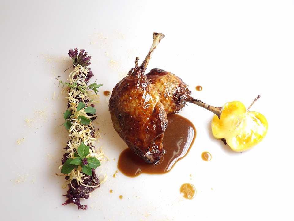 Gastro Hotel Trofana Royal