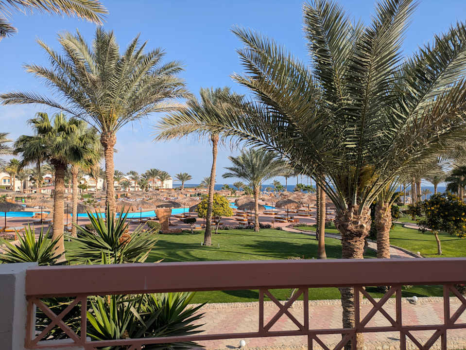 Zimmer Three Corners Sea Beach Resort