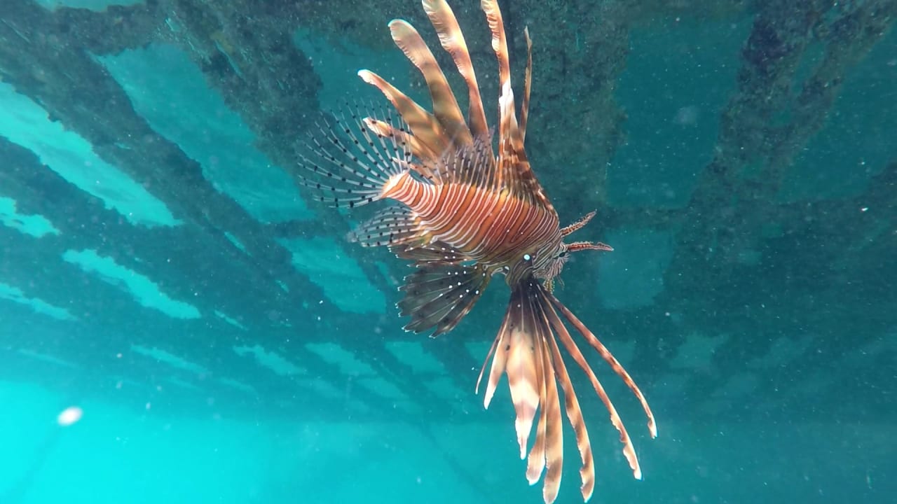 Sport & Freizeit Cleopatra Luxury Resort Makadi Bay