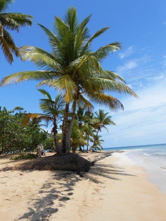 Strand links Bahia Principe Grand El Portillo