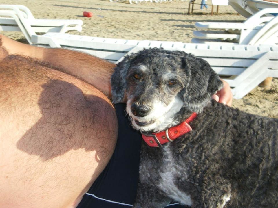 Besuch von Seno am Strand Hotel Sirma