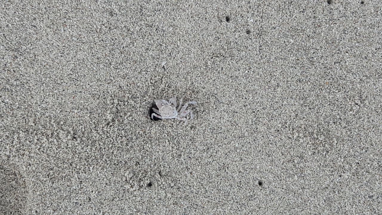 Strand Pearle Beach Resort & Spa