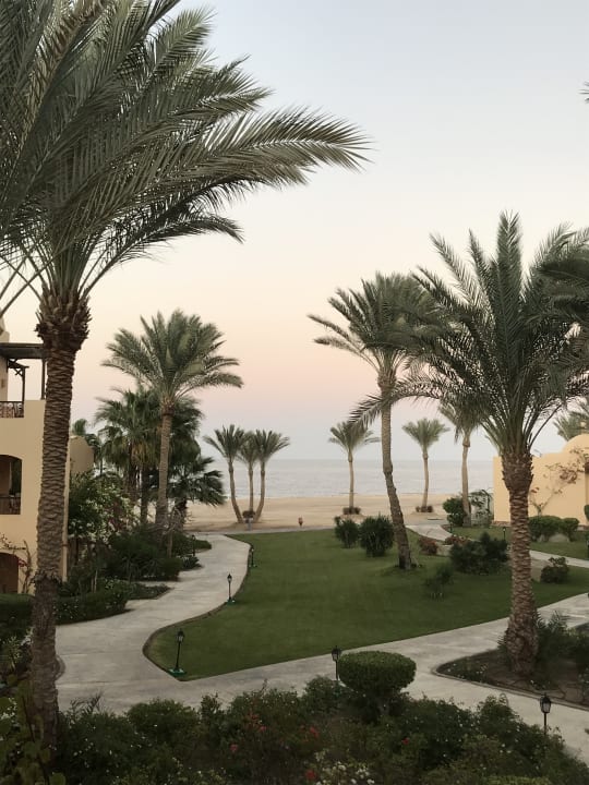 Ausblick Steigenberger Coraya Beach - Adults only