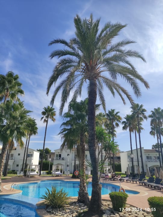 Pool Garden Saladina