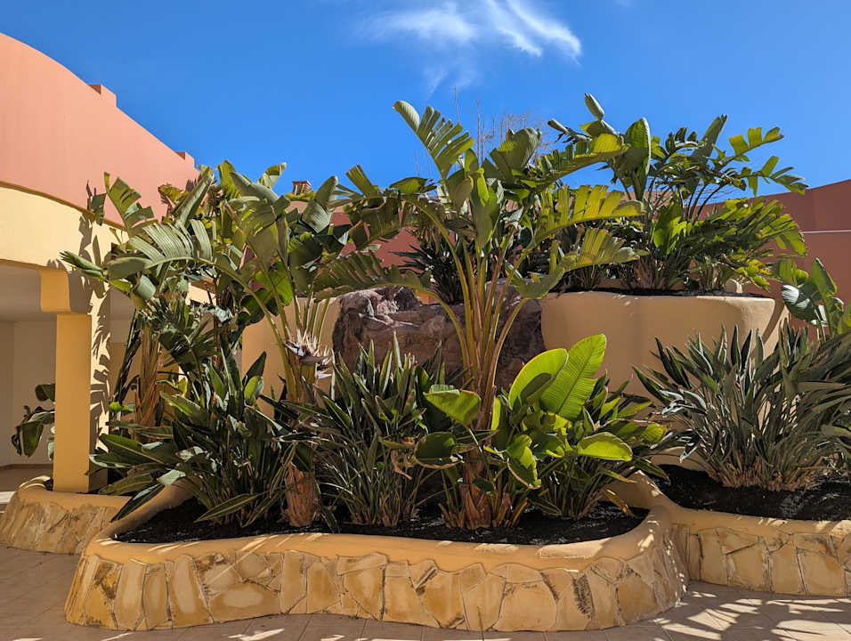 Gartenanlage H10 Playa Esmeralda - Adults only