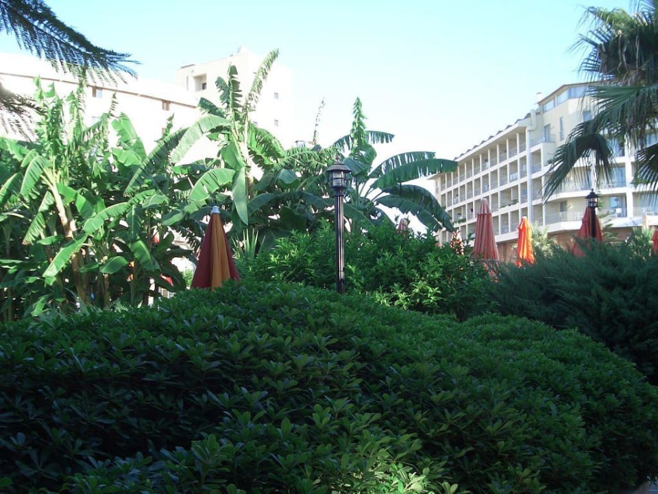 Die Gartenanlage Washington Resort & SPA
