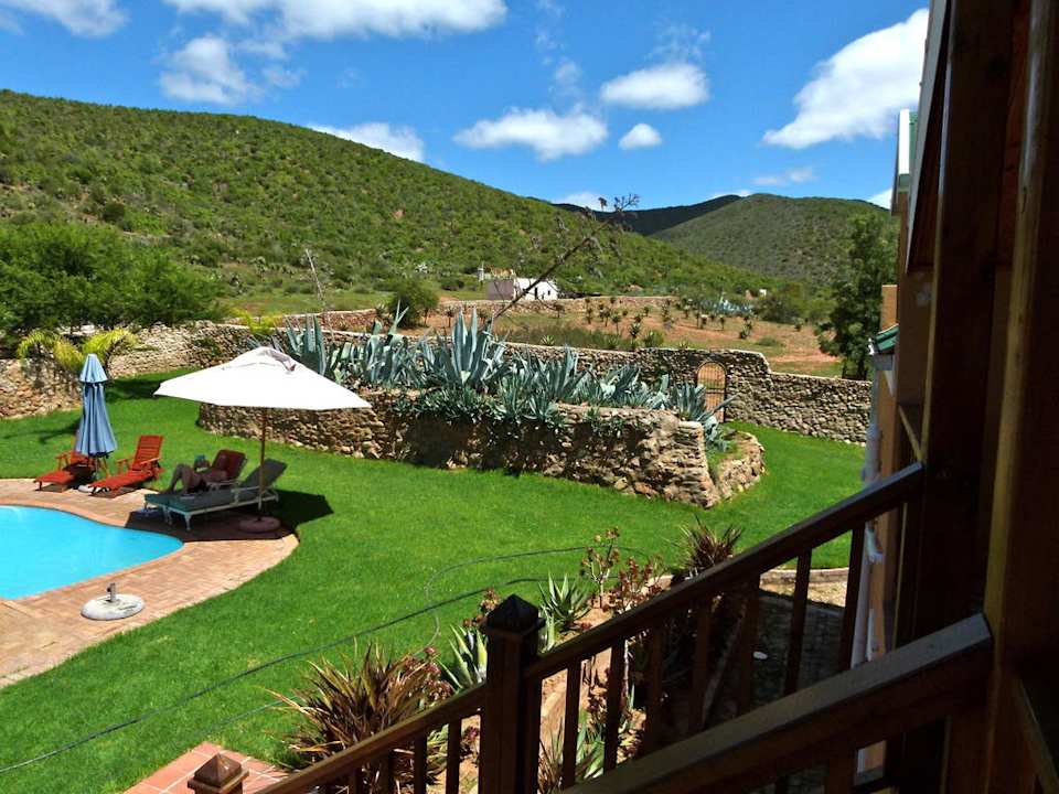 Der kleine Pool Montana Guestfarm