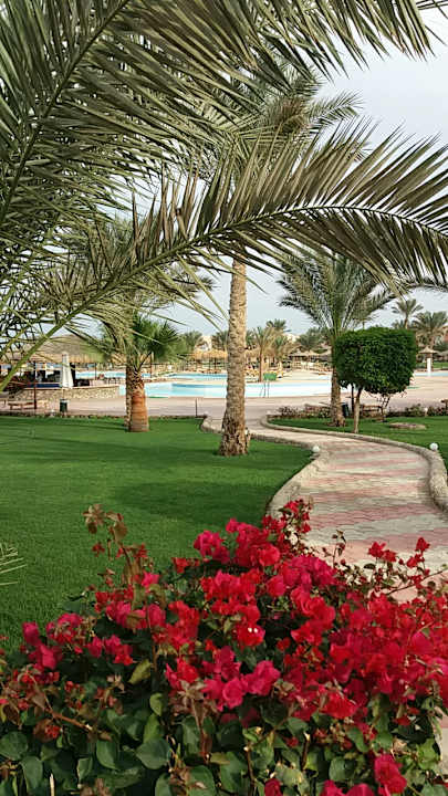 Garten und Pool Three Corners Sea Beach Resort