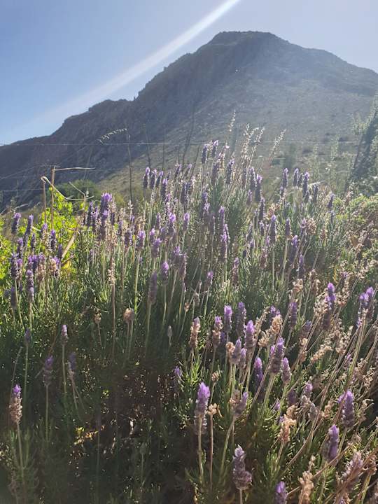 Ausblick Guesthouse Kogman & Keisie