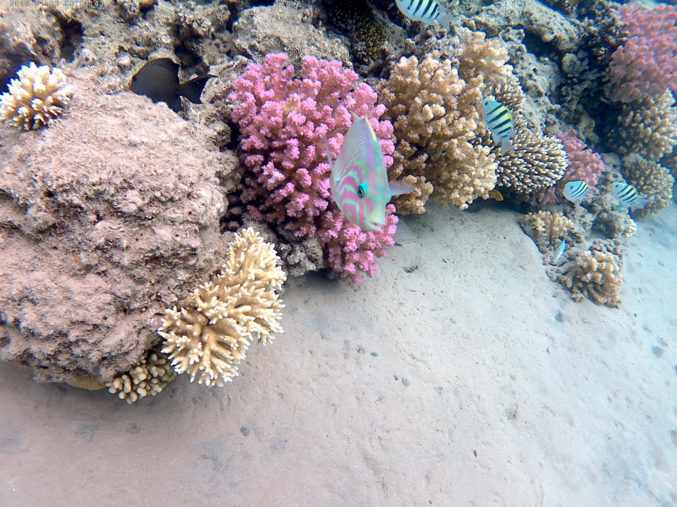 Sport & Freizeit Jaz Makadi Saraya Resort