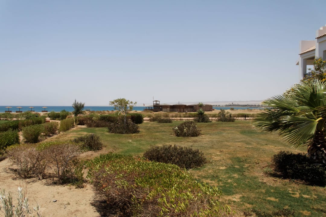 Weg zum Tauchen // Restaurants Lahami Bay Beach Resort