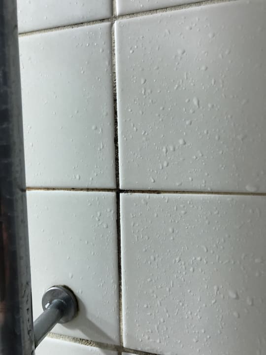 Zimmer Princess Taurito