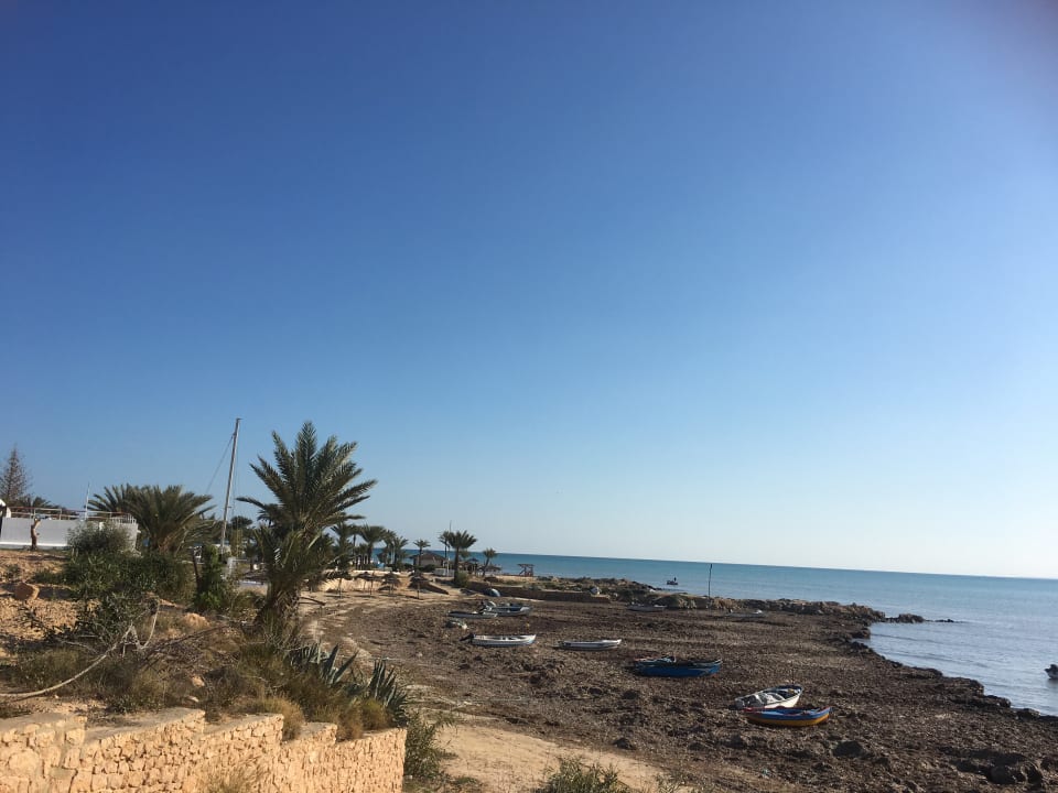 Gartenanlage Hotel El Mouradi Djerba Menzel