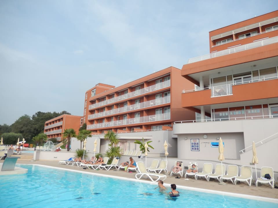 Aus Richtung Pool Hotel Albatros Plava Laguna