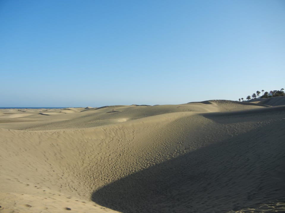 Dünen von Maspalomas Hotel Riu Palace Palmeras