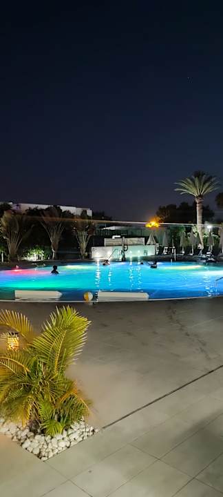 Pool Canary Garden Club