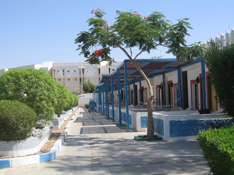 Nach 10 Minuten wieder verlassen Albatros Sharm Resort