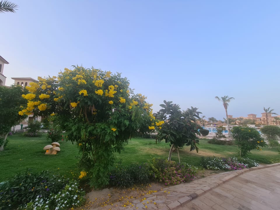 Gartenanlage Pensée Royal Garden Beach Resort