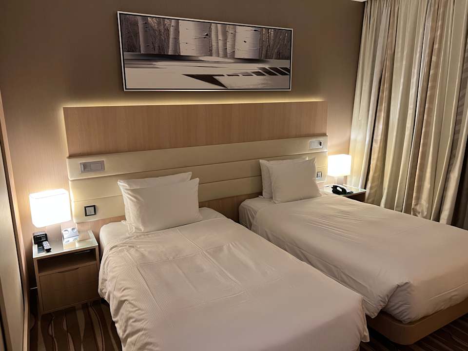 Zimmer Hilton Frankfurt Airport