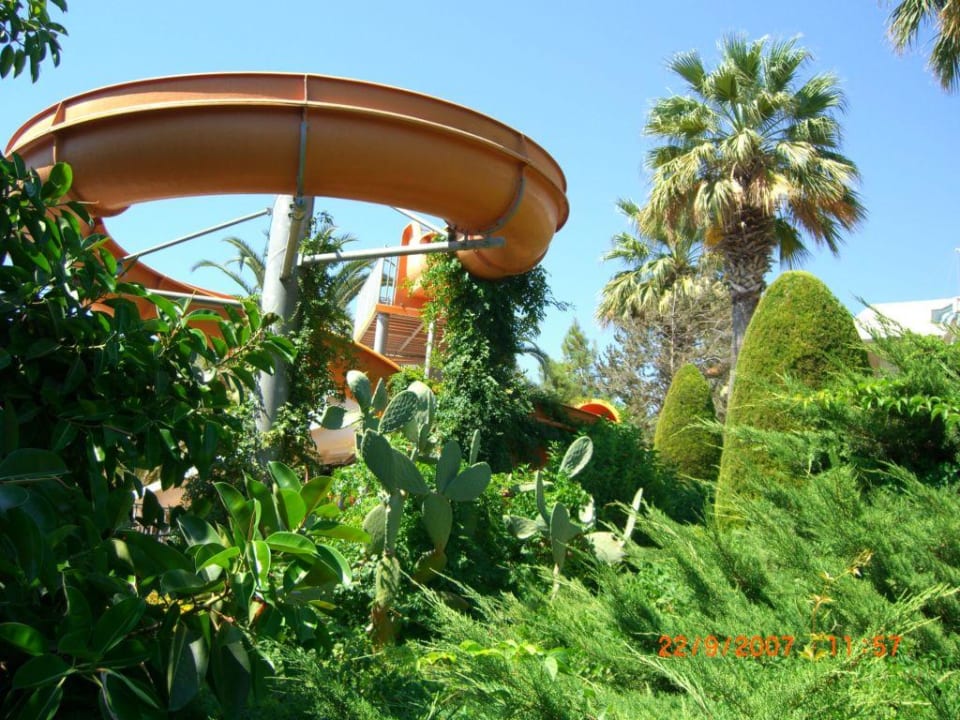 Sonderbare Mischung Side Star Elegance