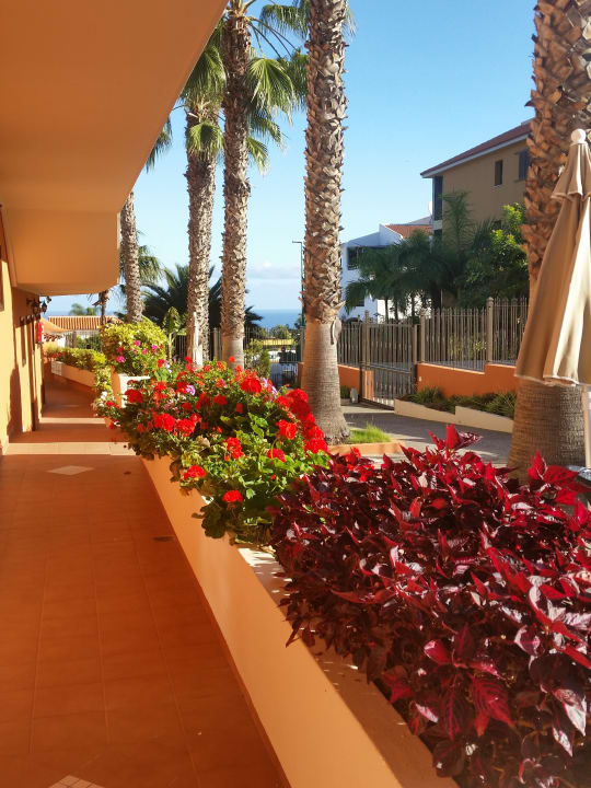 Weg zum Apartment Apartments Ambassador