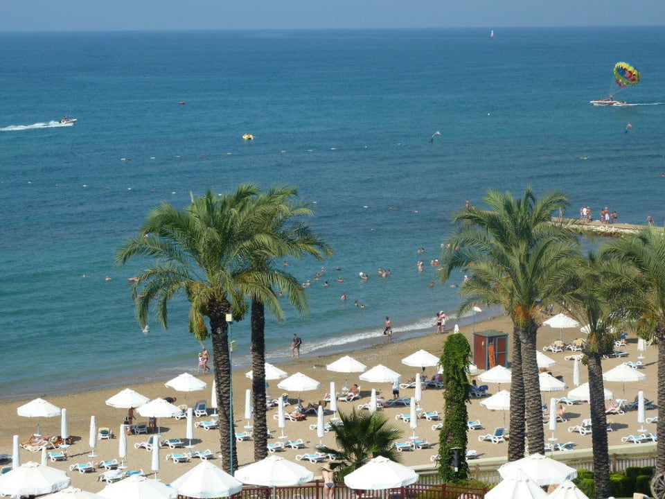 Sentido PALOMA Perissia