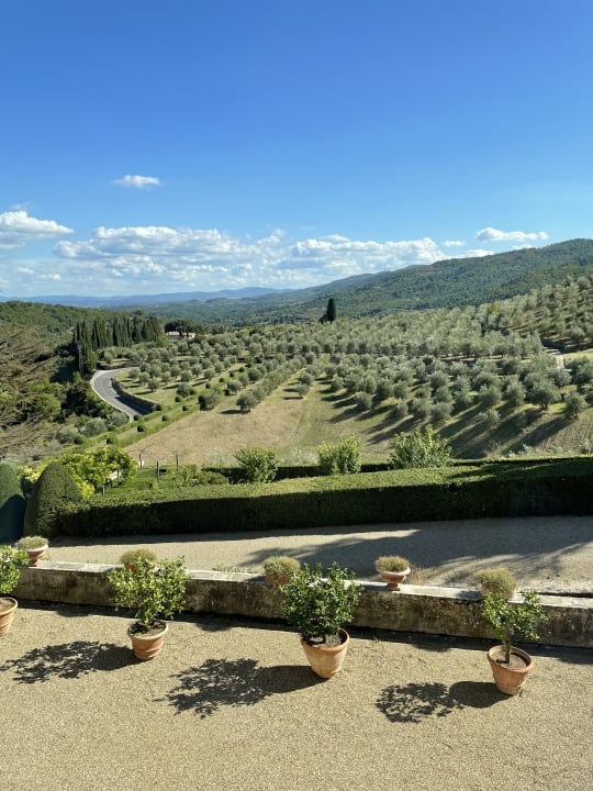 Ausblick Torre a Cona Wine Estate