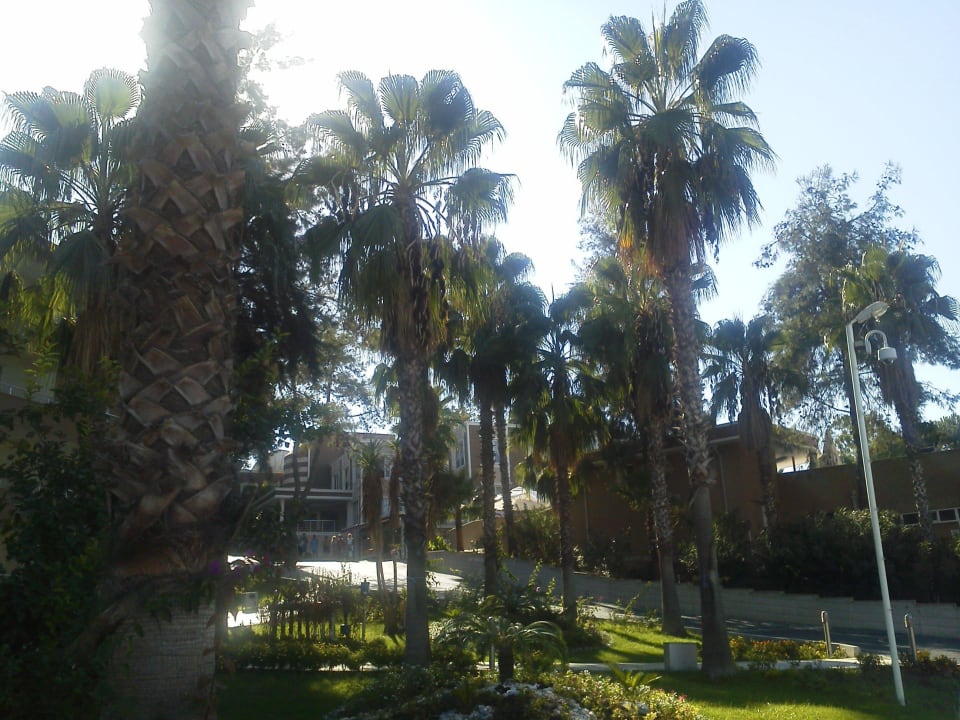 Blick vom neuen Pool zur Rezeption Club Sidelya Hotel