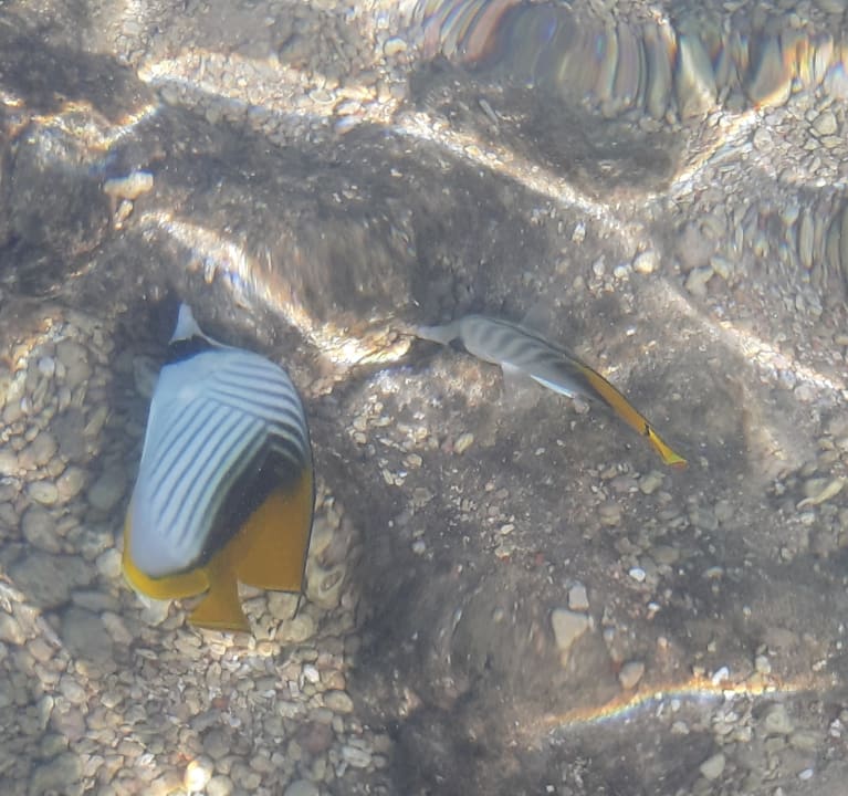 Strand Sultan Gardens Resort