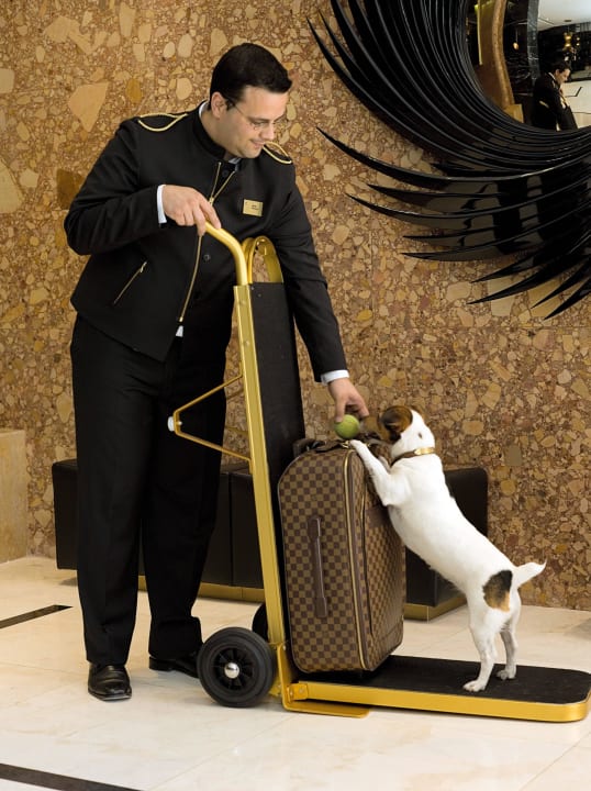 Pet Friendly Hotel Altis Avenida