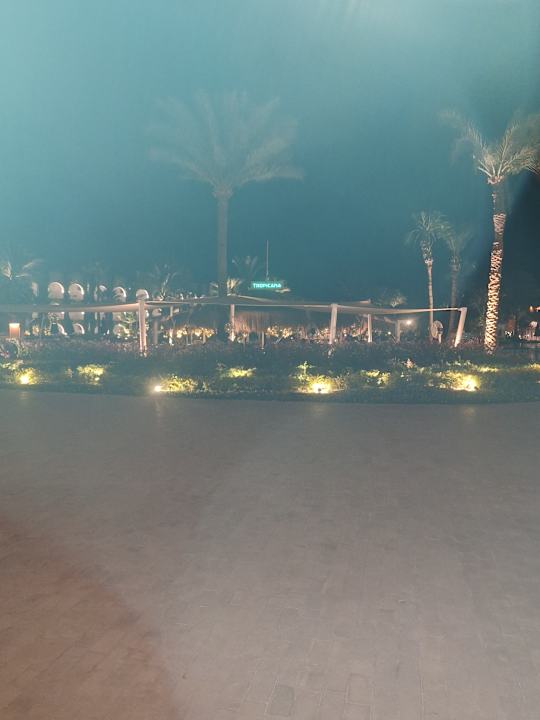 Ausblick Desert Rose